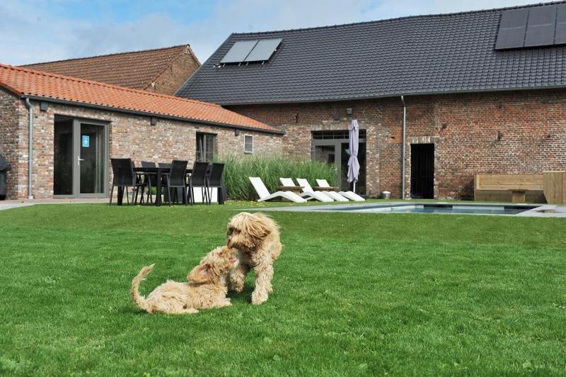 B&B Het Vuchterhof Maasmechelen Exterior foto